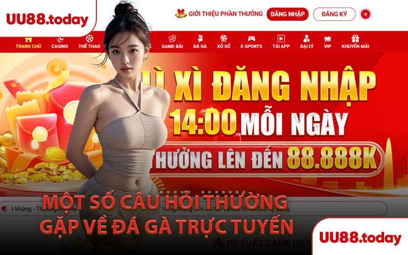 Một Số Câu Hỏi Thường Gặp Về Đá Gà Trực Tuyến
