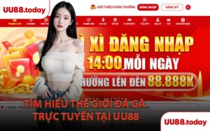 Tìm Hiểu Thế Giới Đá Gà Trực Tuyến Tại UU88
